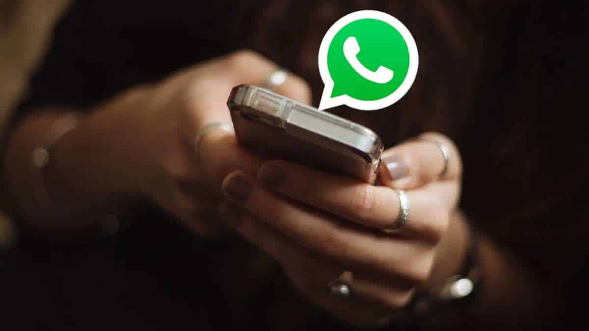 'Miembro Adicional': Una solución para compartir contenido más allá del hogar