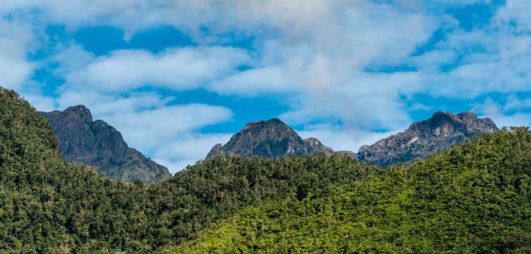 Continúa la extracción ilícita de oro en el Parque Farallones de Cali