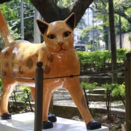 Prográmese: Fin de semana cargado de eventos en Cali