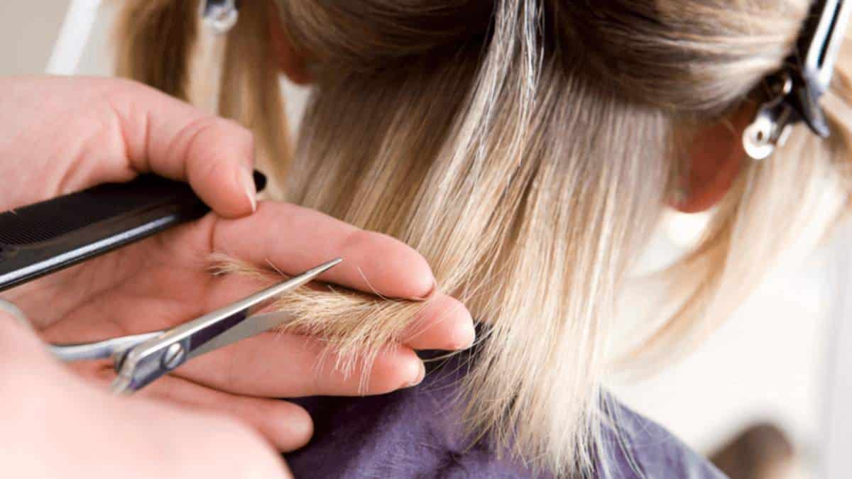 Esta es la forma de desinfectar su cepillo para el cabello; hágalo periódicamente