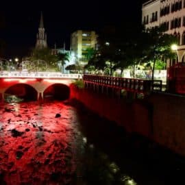 En imágenes: Cali se iluminó de rojo por la celebración del Día de San Valentín