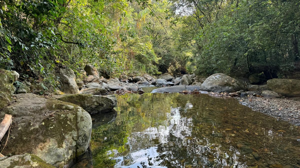 Buenaventura: Fenómeno de El Niño agrava escasez histórica del agua