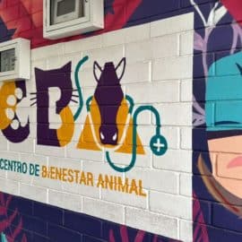 ¿Quiénes pueden acceder a los beneficios del Centro de Bienestar Animal?
