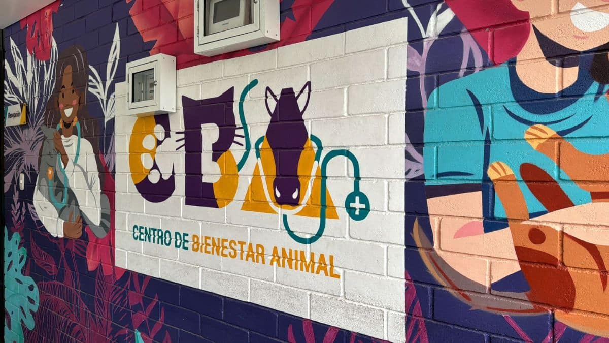Denuncian presuntas irregularidades en el Centro de Bienestar Animal