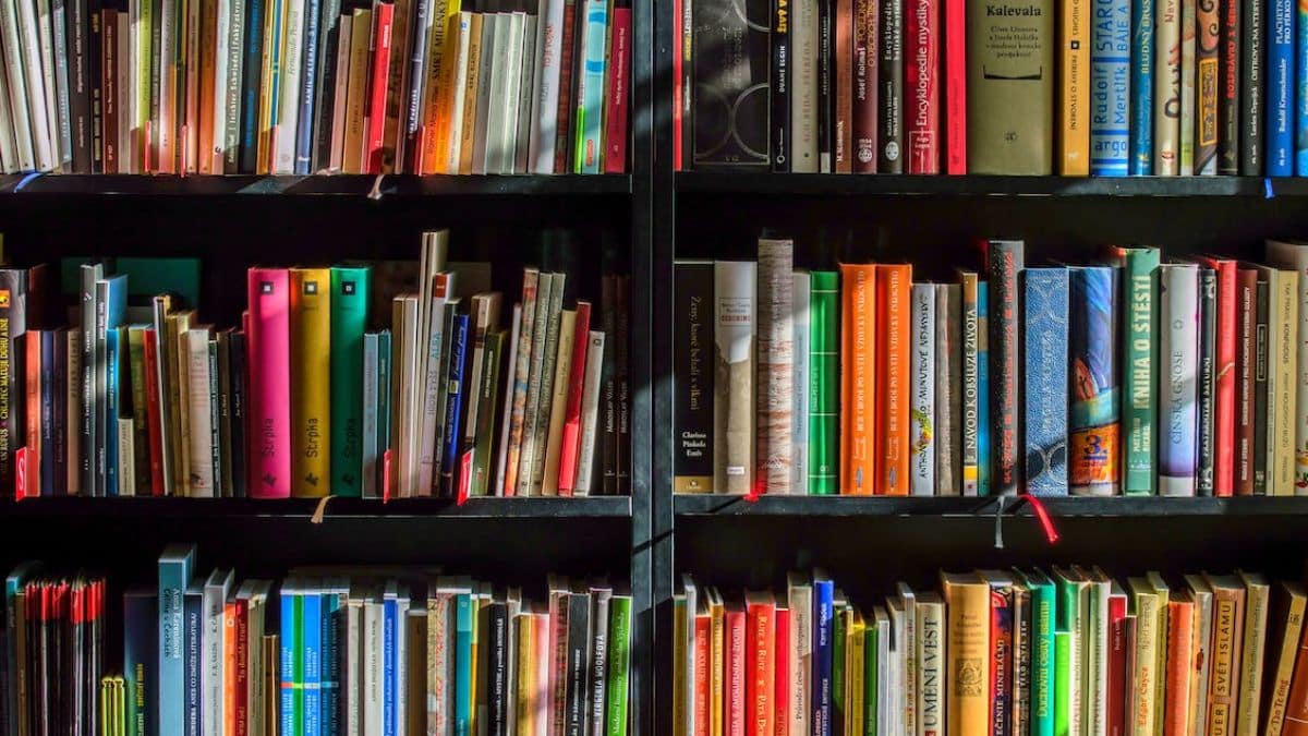 'El caballo dorado' y 'Hábitos que te salvarán la vida', libros recomendados de la semana