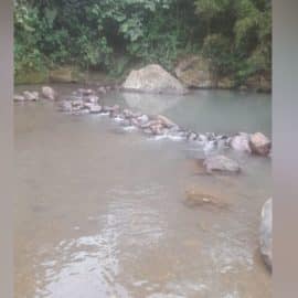 Alerta en zona rural de Cali por oscurecimiento del río