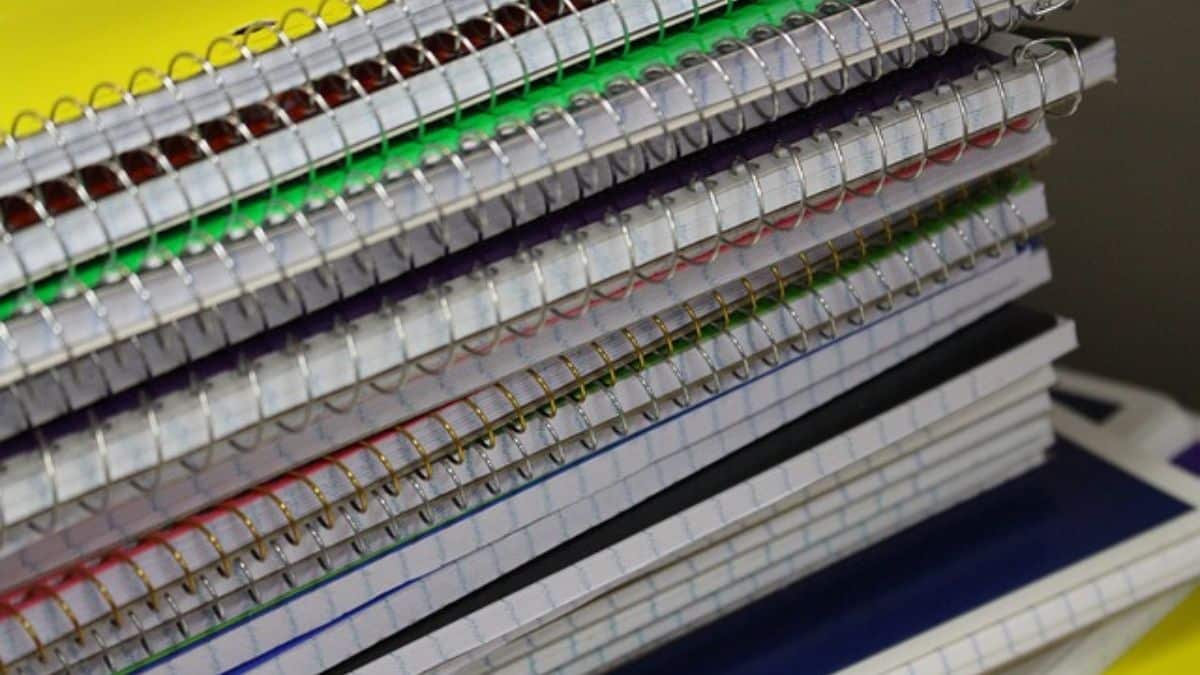 Conozca la fecha límite para cobrar el subsidio de Colombia Mayor 2024