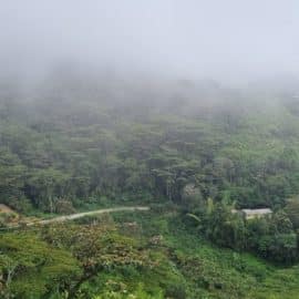 PAISAJE