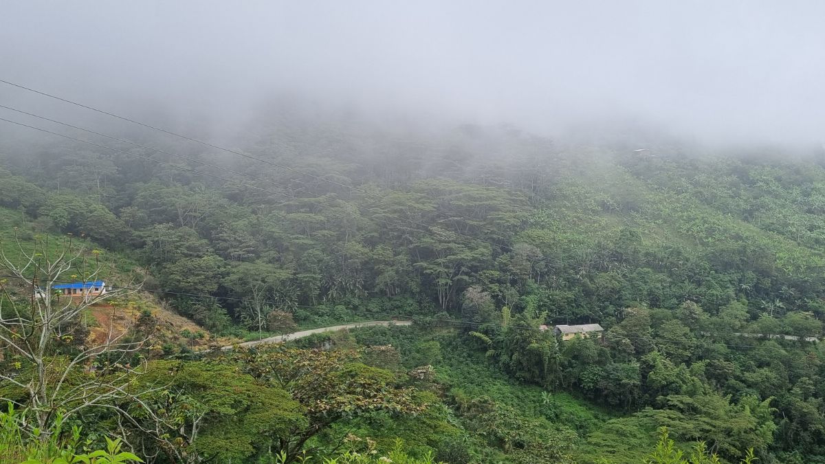 PAISAJE