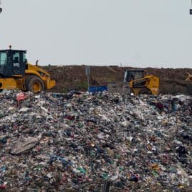 Más de 1.050 millones de toneladas de comida se desperdiciaron en 2022, según ONU