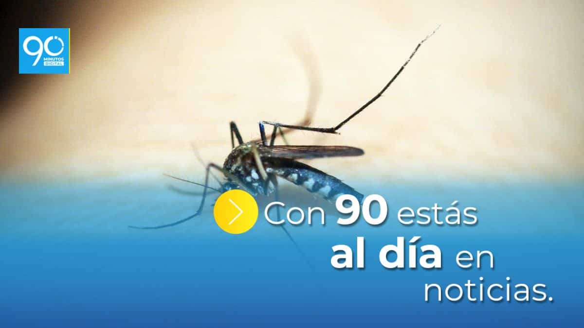 Alerta por ola de calor en Cali: El caudal de los ríos estaría disminuyendo