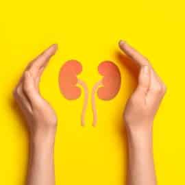 Por una buena salud renal: Se celebra el Día Mundial del Riñón