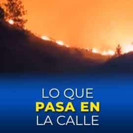 'Lo que pasa en la calle': Los hechos judiciales de este martes, 19 de marzo