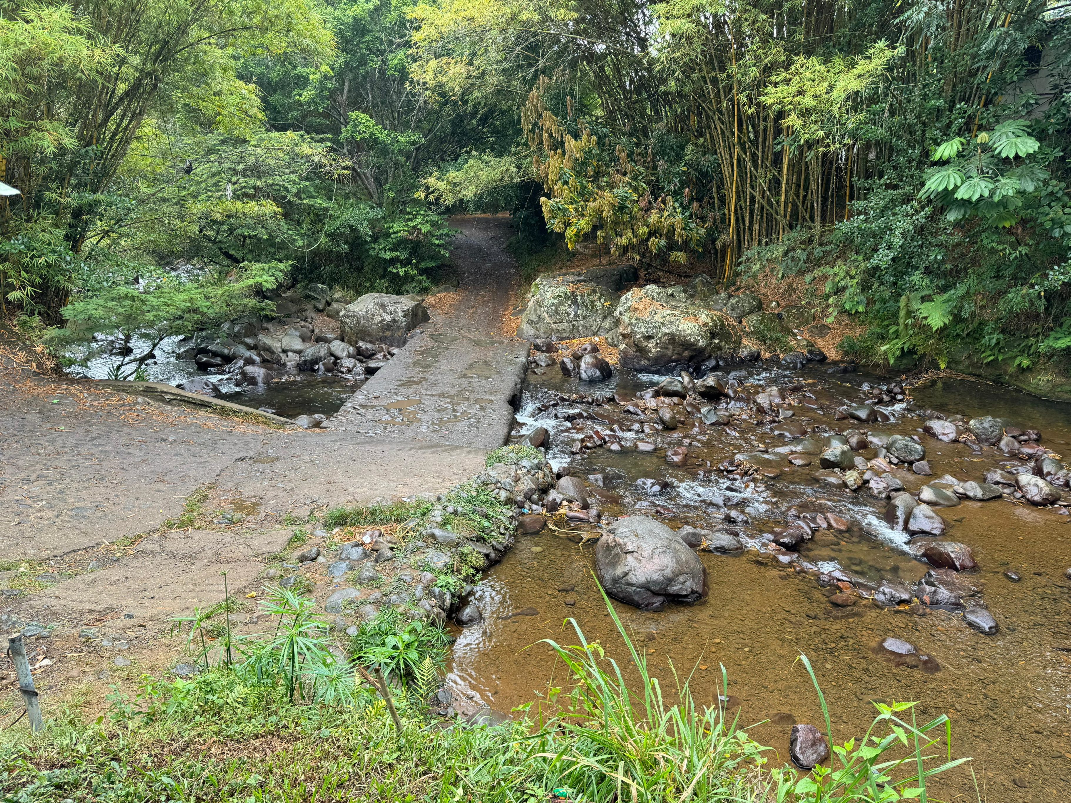 rio-melendez