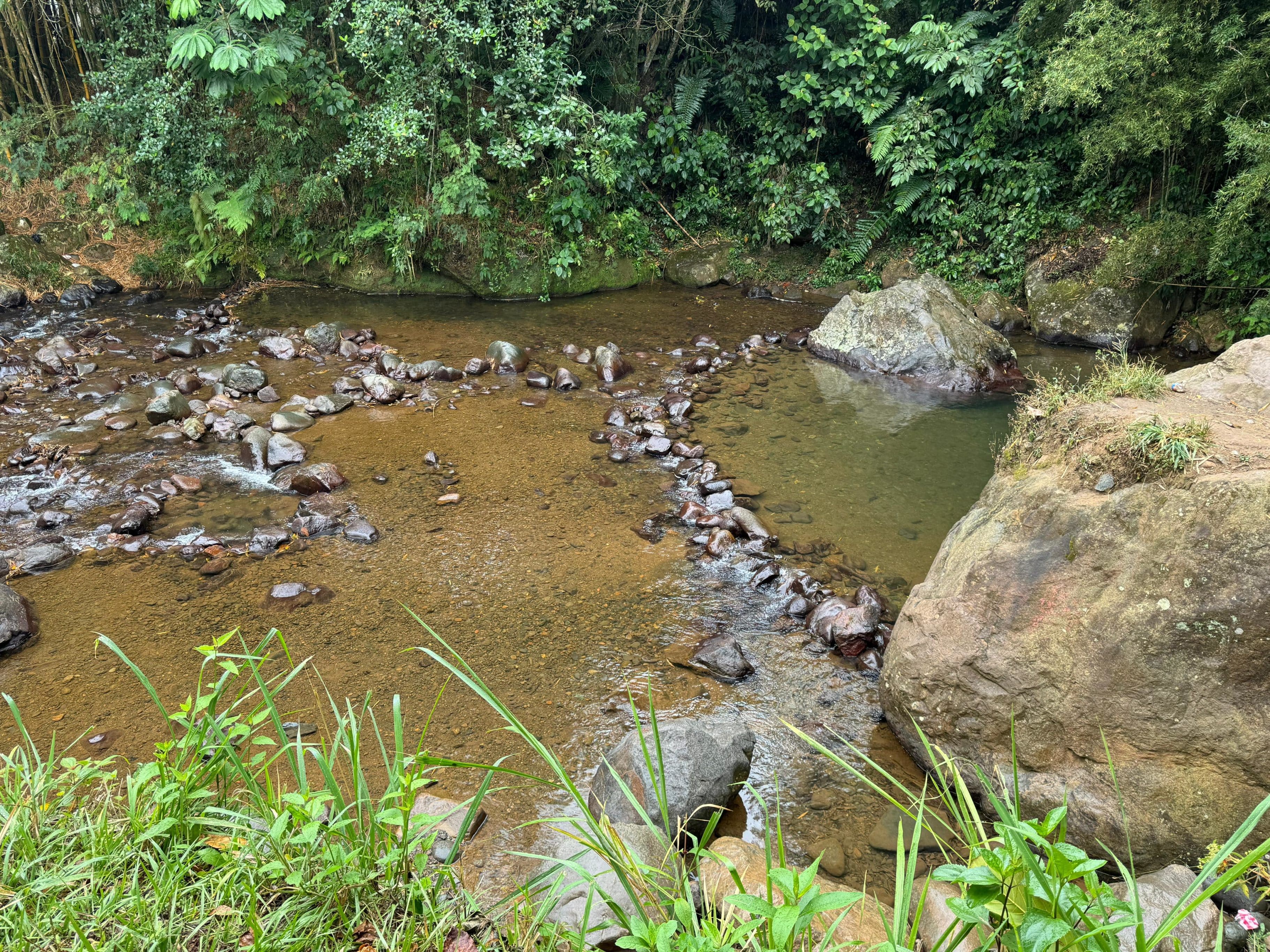 rio-melendez