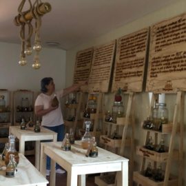 Explorando la riqueza cultural de Cali: Museos que debes visitar
