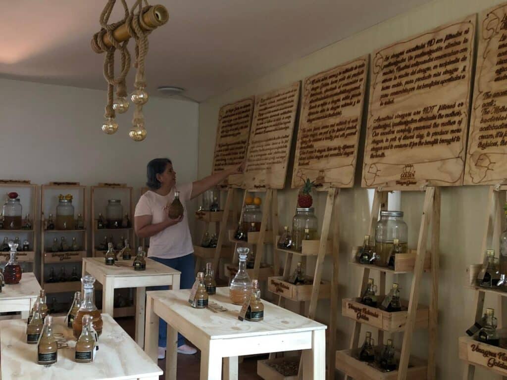 Explorando la riqueza cultural de Cali: Museos que debes visitar
