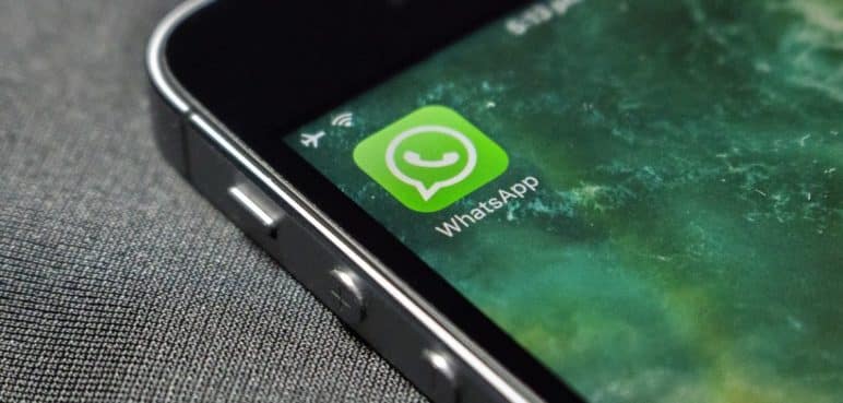 Robo de cuentas de WhatsApp: Esto debería hacer para evitar suplantación