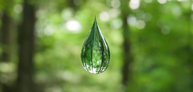 Día Mundial del Agua, el mundo busca altenativas (viables) para el recurso