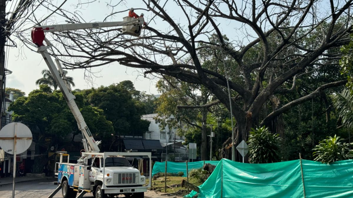 ¿Cuáles barrios van a ser fumigados esta semana en Cali?