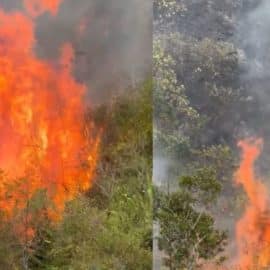 Continúa emergencia por incendio en zona rural de Yumbo y La Cumbre, Valle