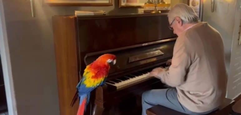 Mario Fernando Prado, el pianista caleño que quiere batir un récord Guiness