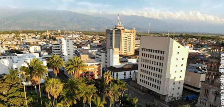Hombre falleció tras accidente mientras podaba una palmera; sucedió en Palmira
