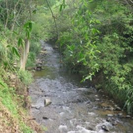 Alerta por contaminación en el Río Aguacatal en Cali