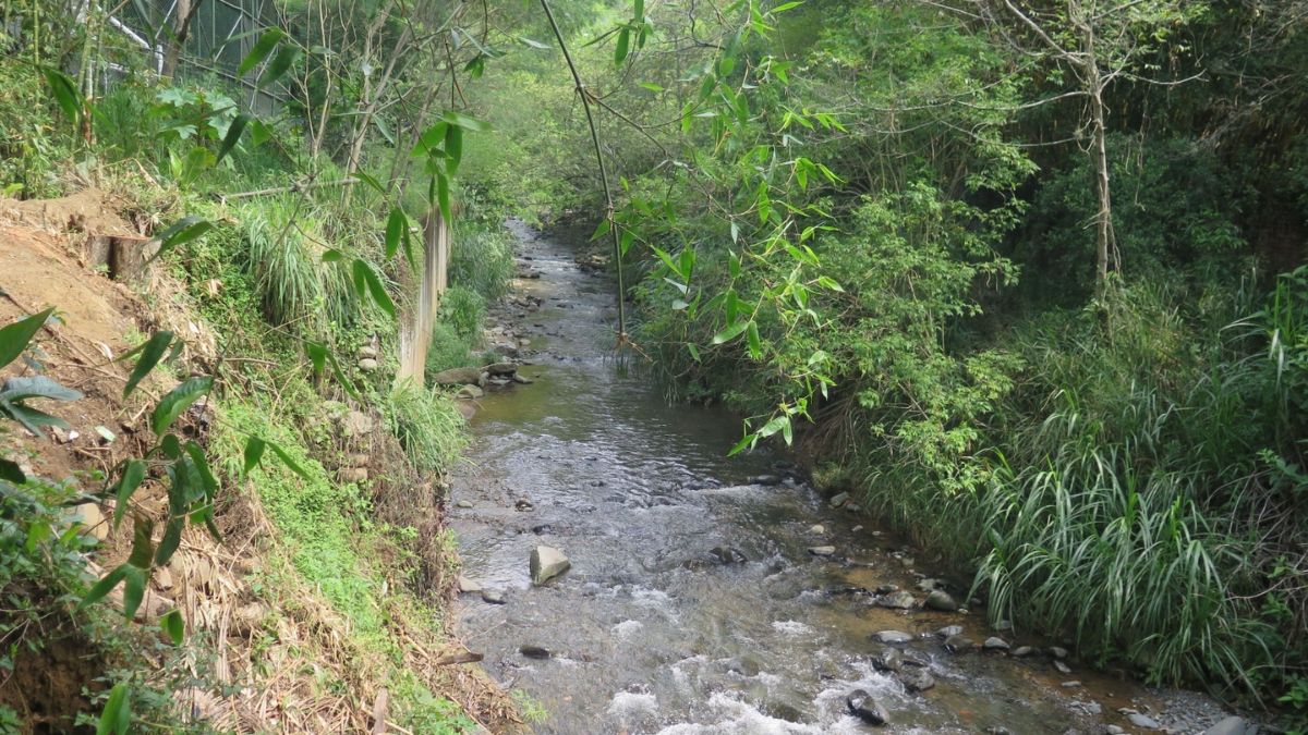 Alerta por contaminación en el Río Aguacatal en Cali