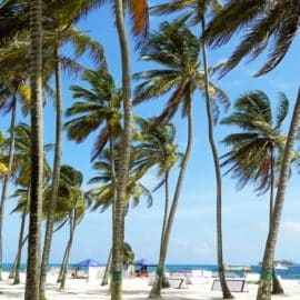 ¡El valor de los 7 colores! Este es el precio del impuesto por entrar a San Andrés