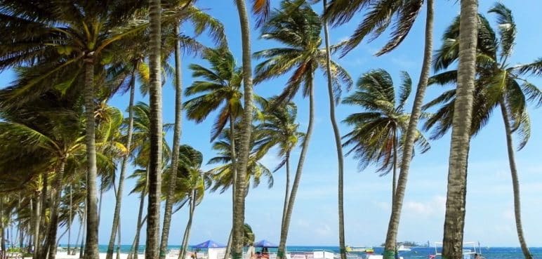 ¡El valor de los 7 colores! Este es el precio del impuesto por entrar a San Andrés
