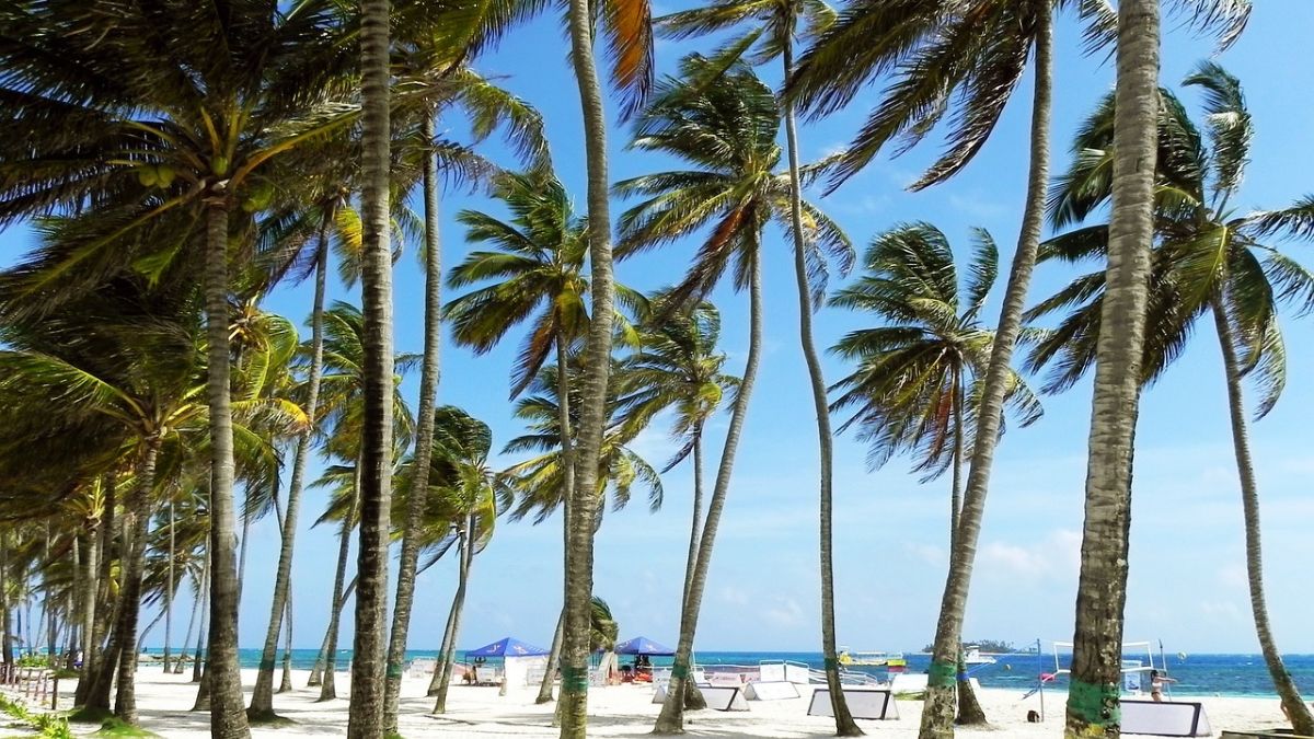 ¡El valor de los 7 colores! Este es el precio del impuesto por entrar a San Andrés