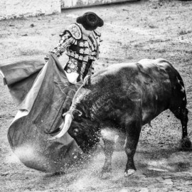 Corridas de toros en Colombia: A un debate de ser Ley su prohibición