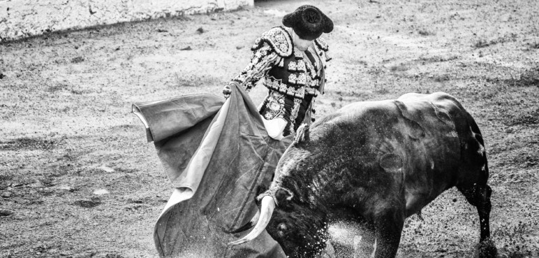 Corridas de toros en Colombia: A un debate de ser Ley su prohibición