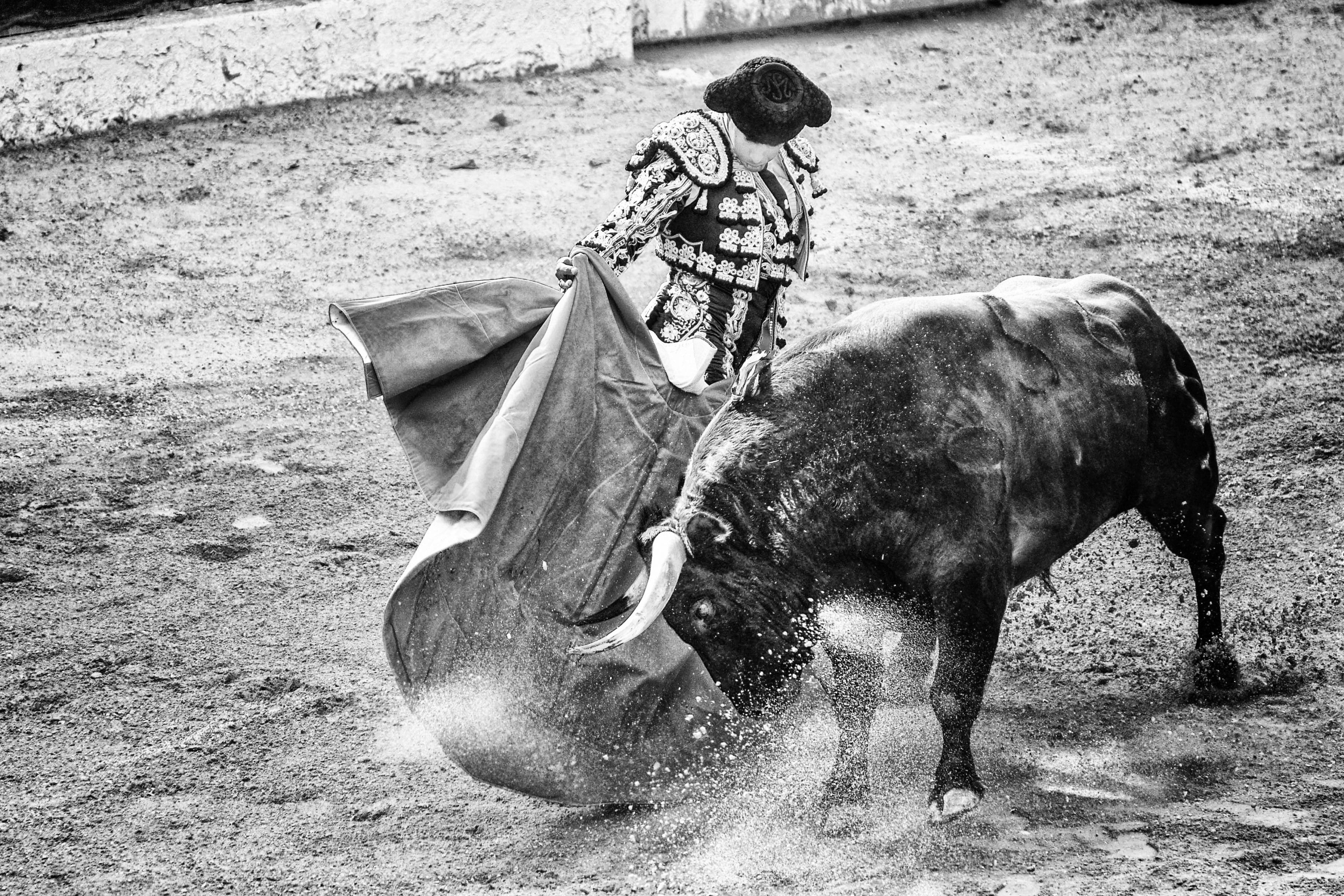 Corridas de toros en Colombia: A un debate de ser Ley su prohibición