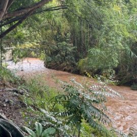 Aumenta caudal de los ríos de Cali tras recientes lluvias