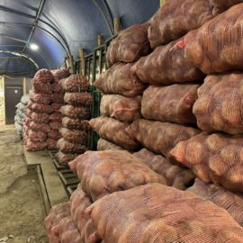 Bloqueos vía Panamericana: Alerta por posible desabastecimiento alimentario en Cali