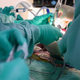 cirugía fetal inutero