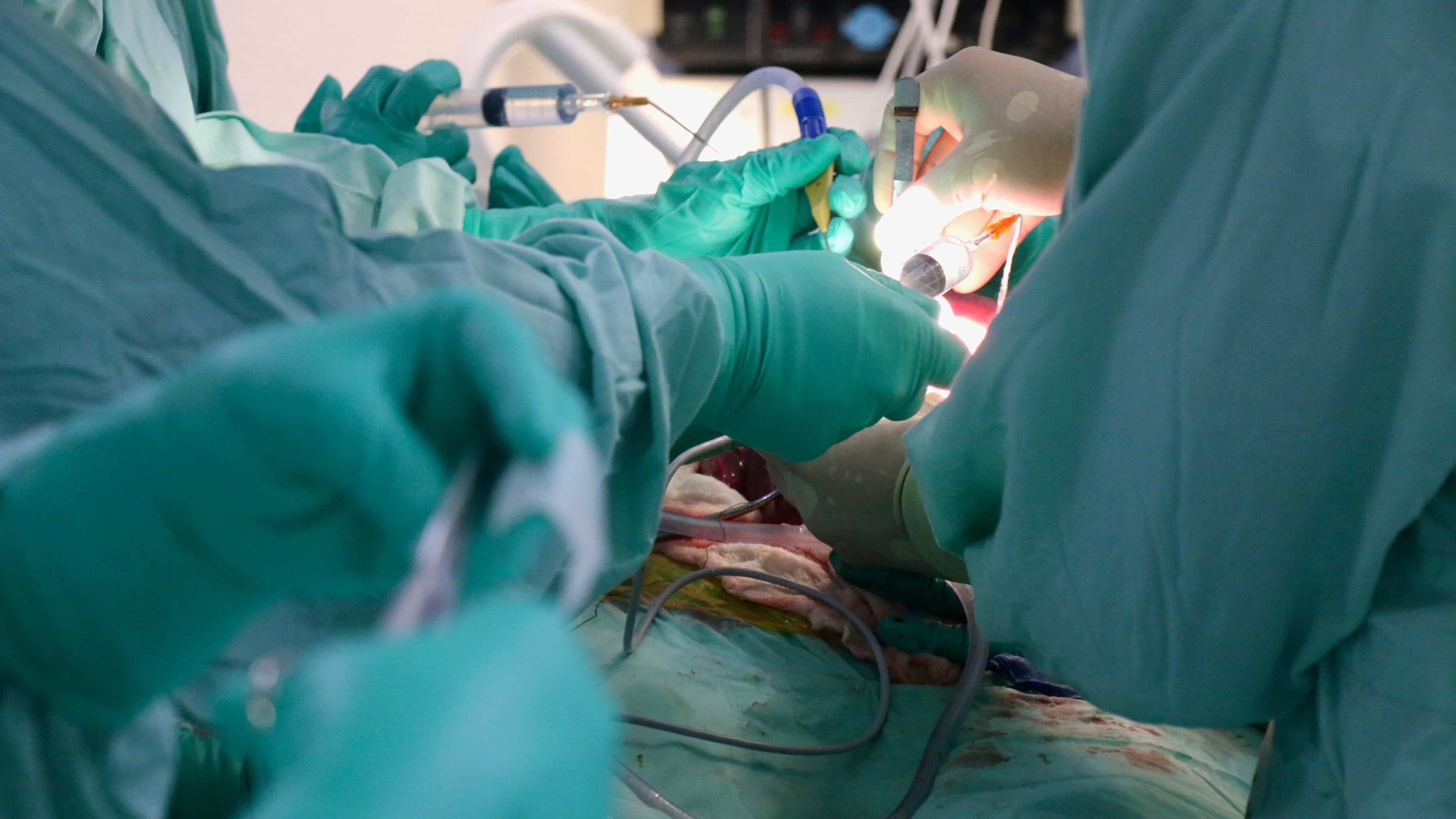 cirugía fetal inutero