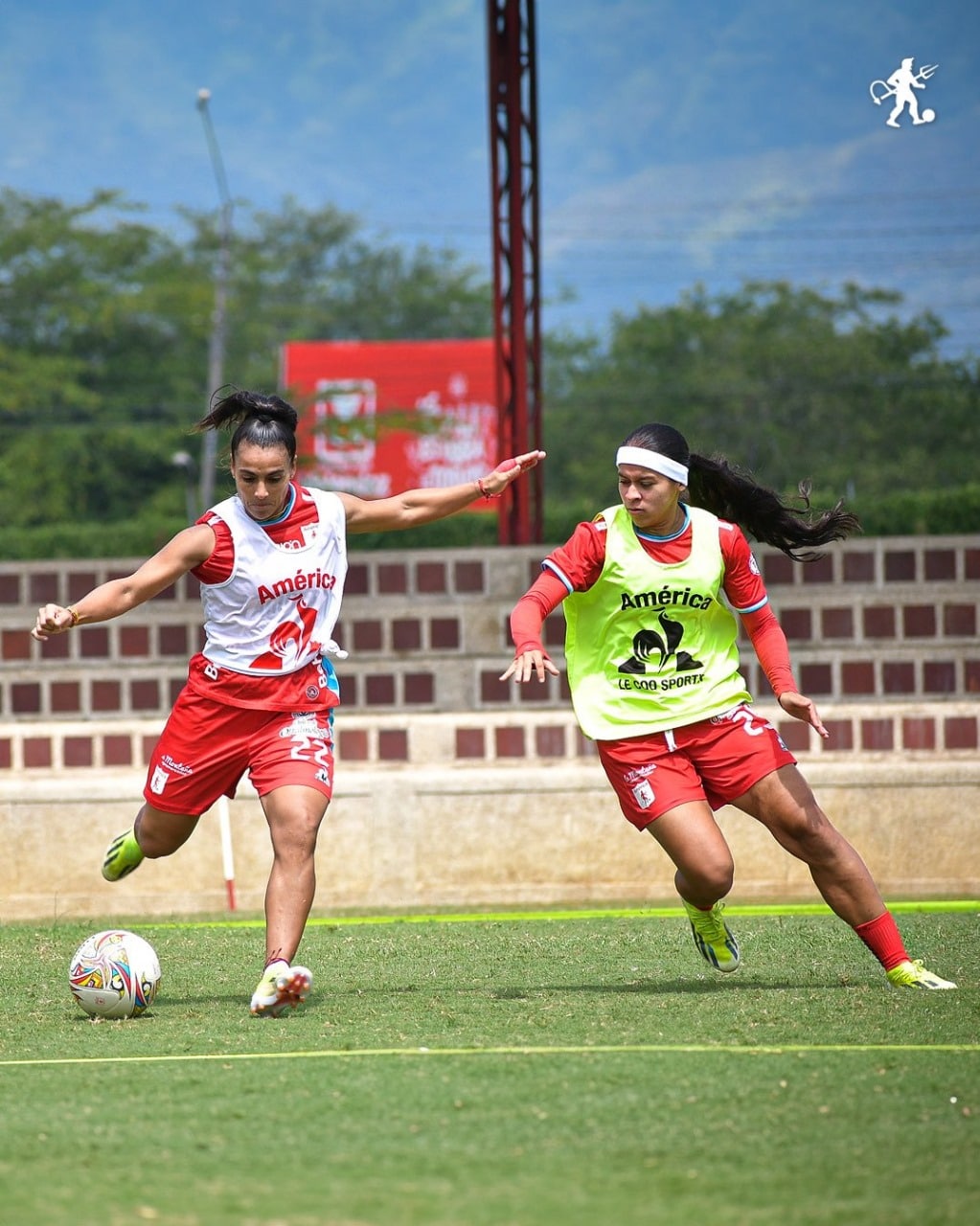 liga femenina
