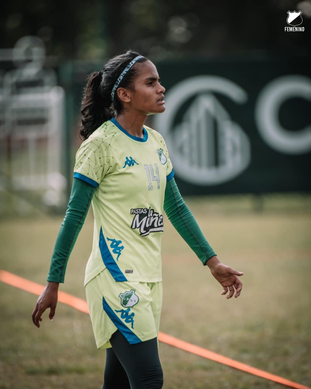 liga femenina