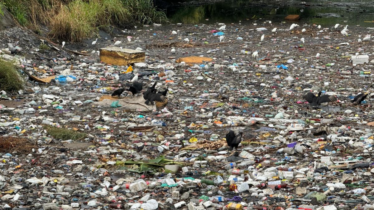 Fenómeno de La Niña: Así puede prevenir las enfermedades en temporada de lluvias
