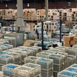 Gerente de Evacol anuncia triunfo frente a demanda de Crocs