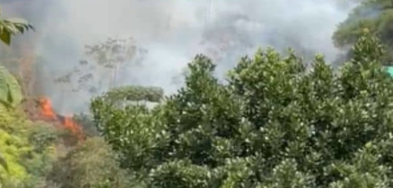 ¡Atención! Incendio forestal en La Buitrera, zona rural de Cali