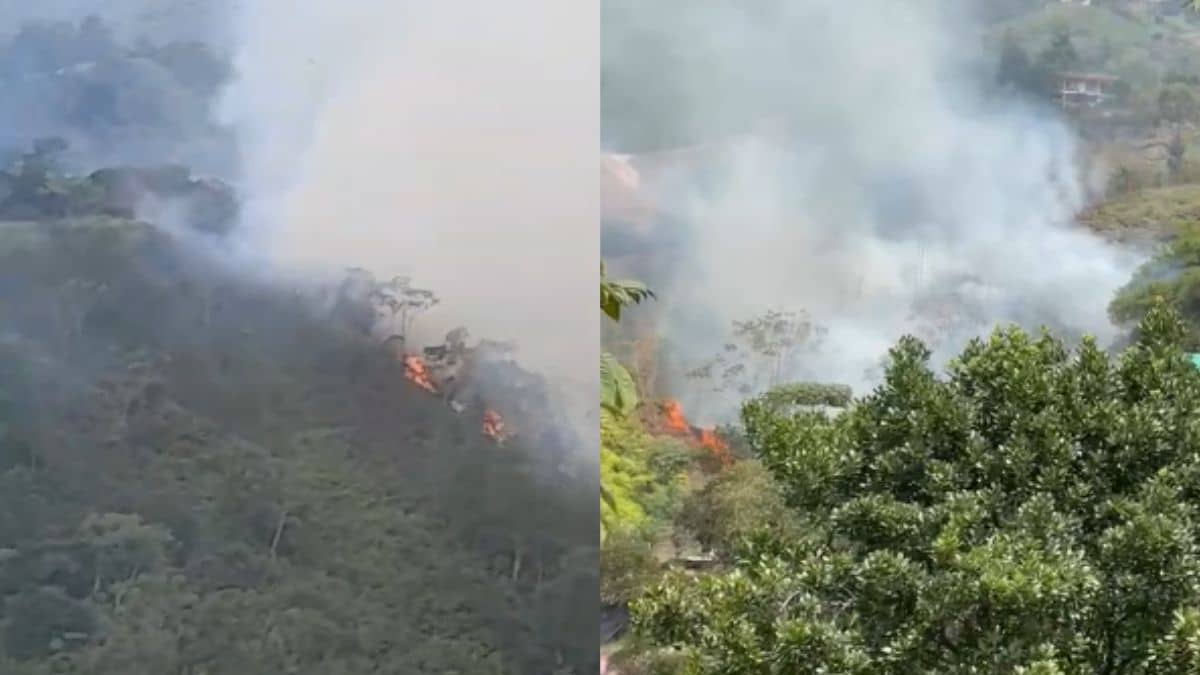 ¡Atención! Incendio forestal en La Buitrera, zona rural de Cali
