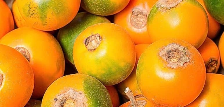 Recetas exquisitas que puede hacerse con lulo: bebidas, platillos y postres