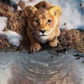 Mufasa: Disney presentó tráiler del primer gran 'Rey León'