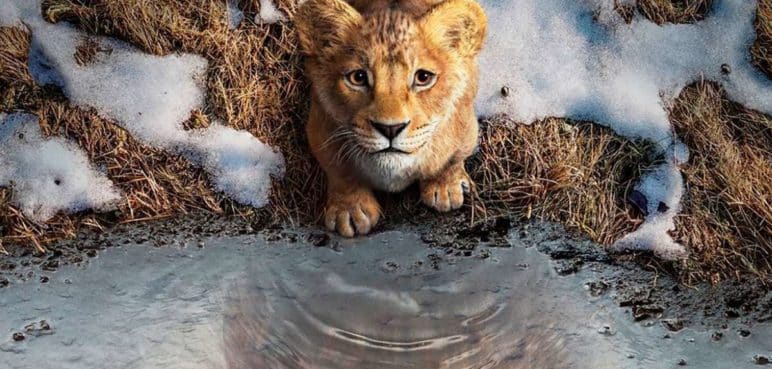 Mufasa: Disney presentó tráiler del primer gran 'Rey León'