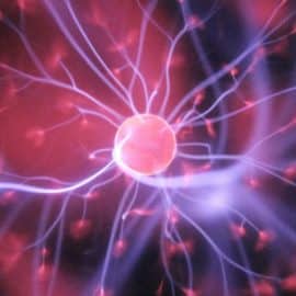 Este alimento mejora la memoria y la actividad neuronal; fácil de cocinar