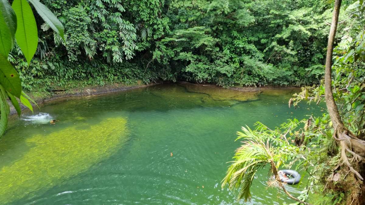 Ruta de Turismo Industrial: Un nuevo atractivo para el Valle del Cauca